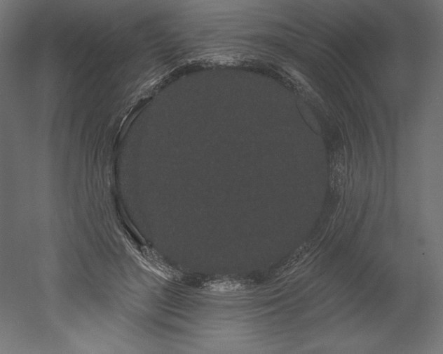 X0000051920500200507011603