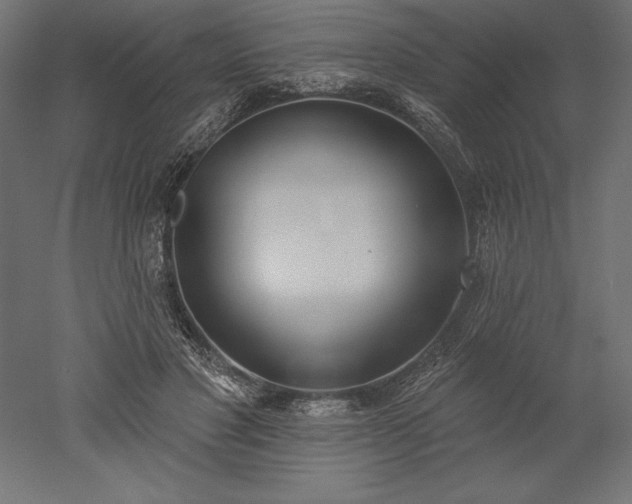X0000051920501200507011603