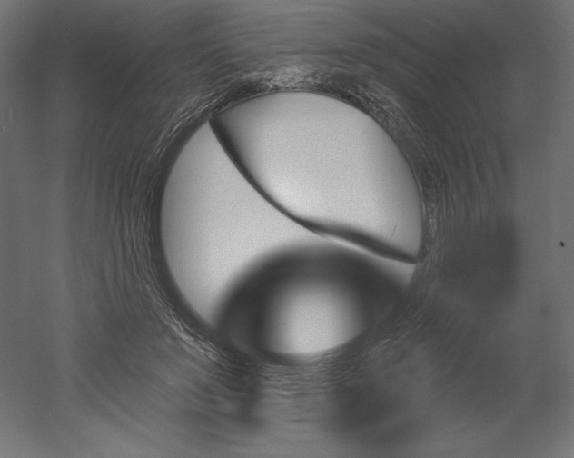 X0000051920503200507011603