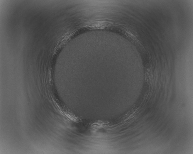 X0000051920504200507011603