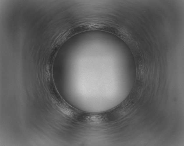 X0000051920506200507011603