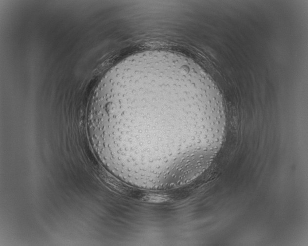 X0000051920507200507011603