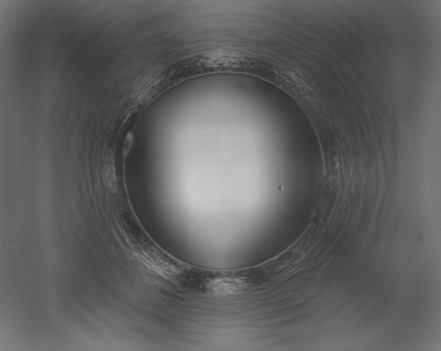 X0000051920508200507011603