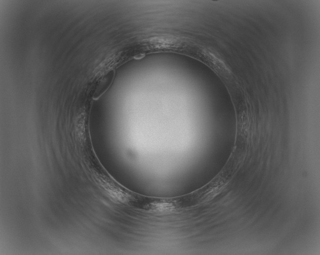 X0000051920509200507011603