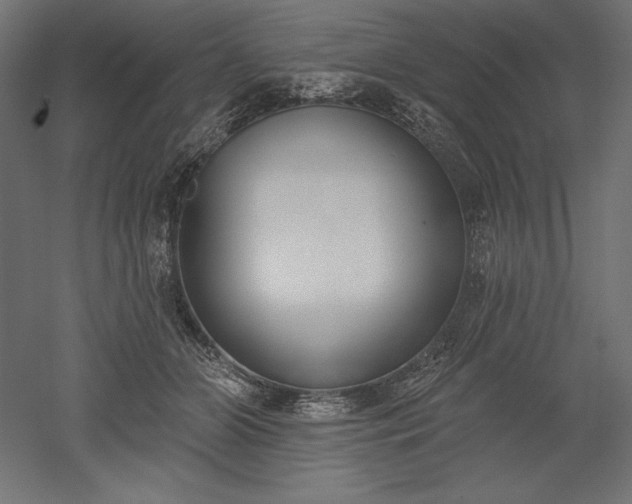 X0000051920510200507011603