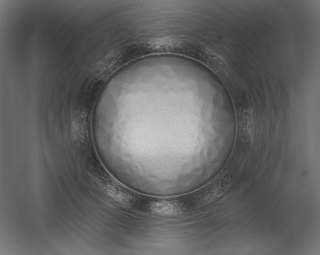 X0000051920511200507011603