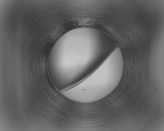 X0000051920513200507011603