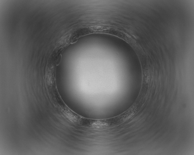 X0000051920515200507011603