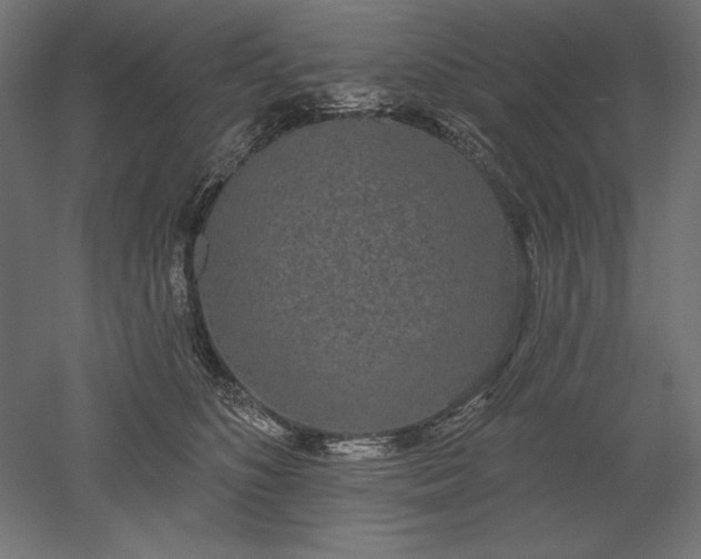 X0000051920516200507011603