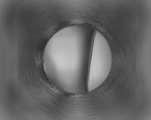 X0000051920517200507011603