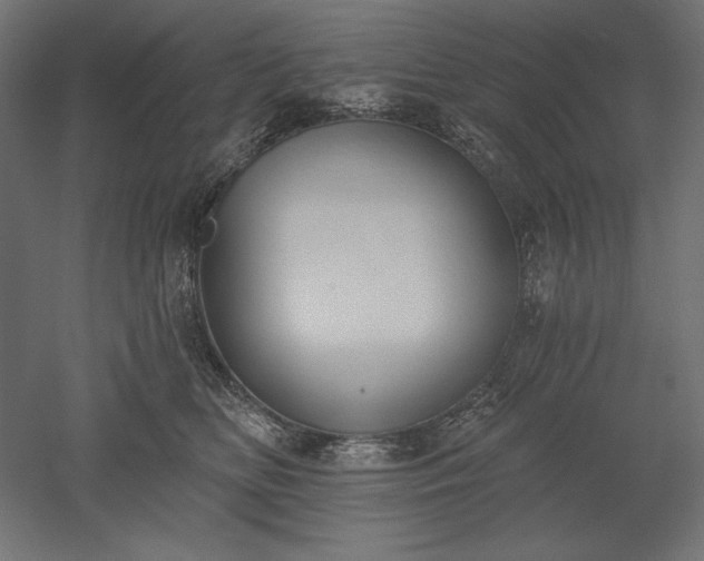 X0000051920518200507011603
