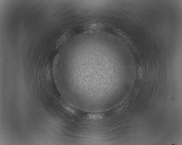 X0000051920520200507011603