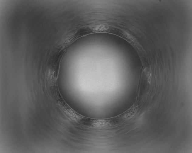 X0000051920521200507011603