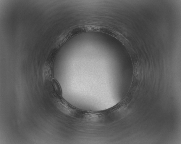 X0000051920523200507011603