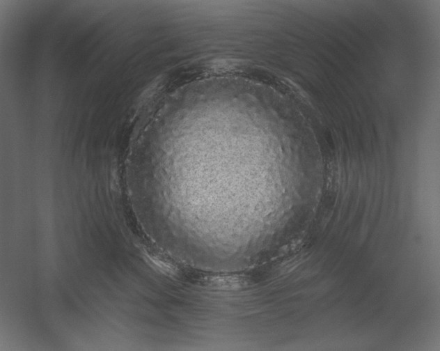 X0000051920524200507011603