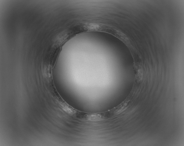 X0000051920525200507011603