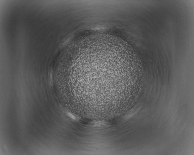X0000051920528200507011603