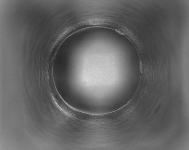 X0000051920530200507011602