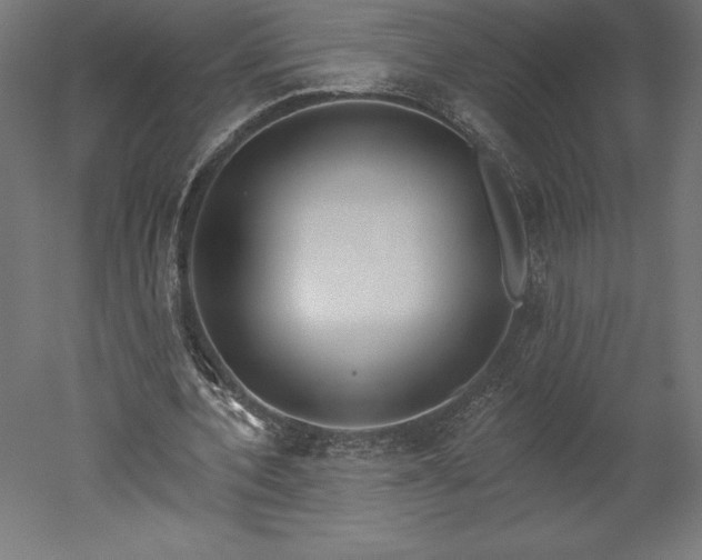 X0000051920532200507011602