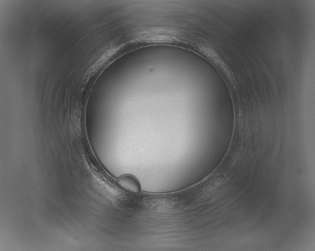 X0000051920533200507011602