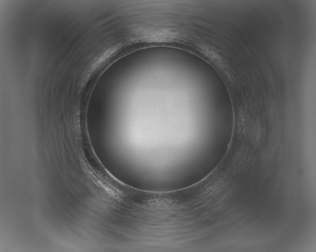 X0000051920535200507011602