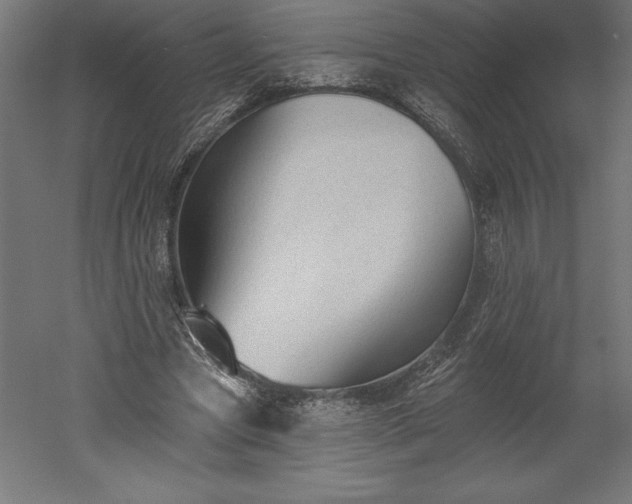 X0000051920537200507011602