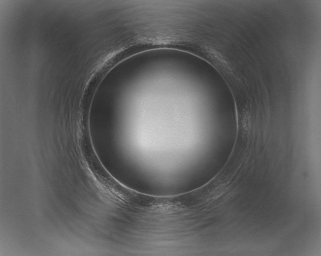 X0000051920540200507011602