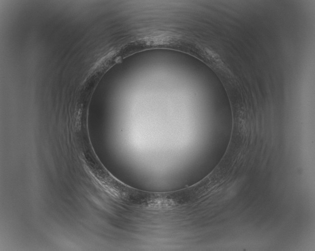 X0000051920543200507011602