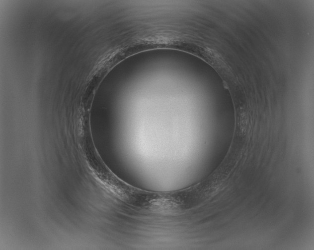 X0000051920544200507011602