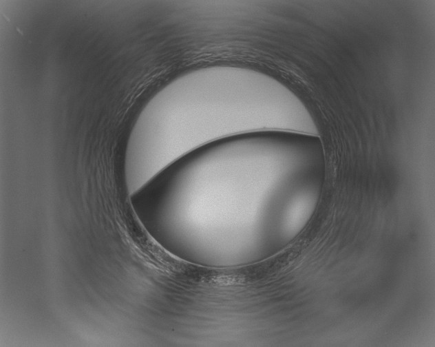 X0000051920546200507011602
