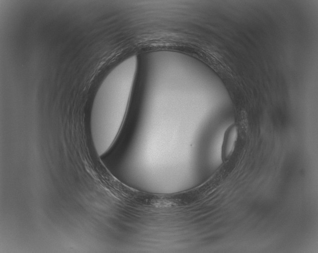 X0000051920547200507011602