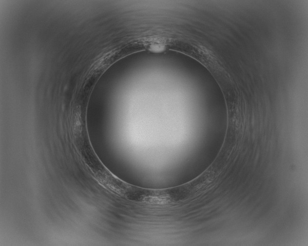 X0000051920548200507011602