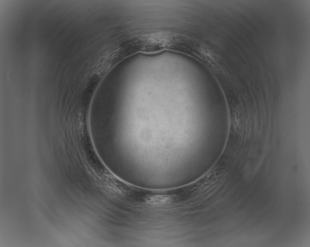 X0000051920551200507011602