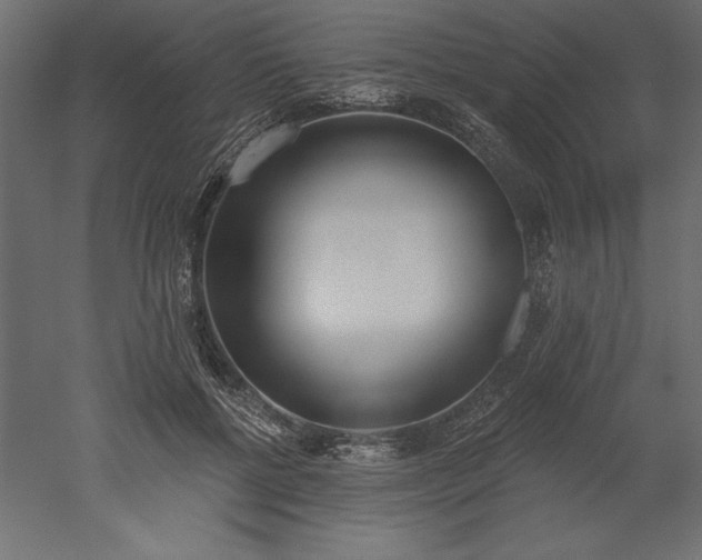 X0000051920552200507011602