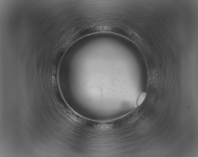 X0000051920553200507011602