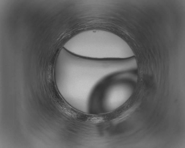 X0000051920554200507011602