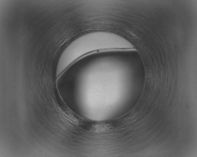 X0000051920556200507011602