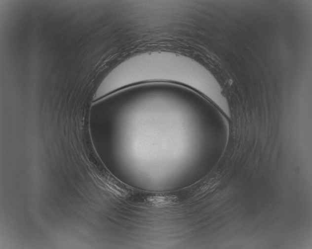 X0000051920558200507011602