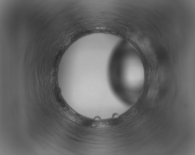 X0000051920559200507011602
