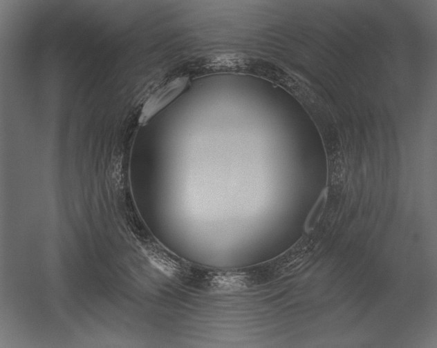 X0000051920560200507011603