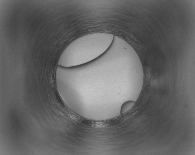 X0000051920565200507011603