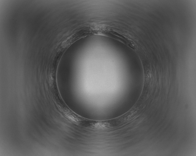 X0000051920566200507011603