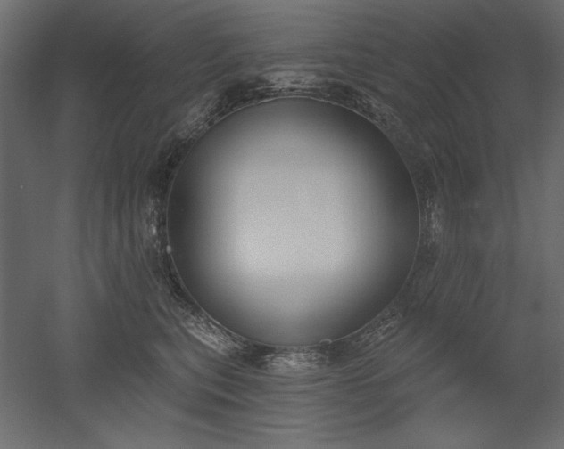 X0000051920567200507011603