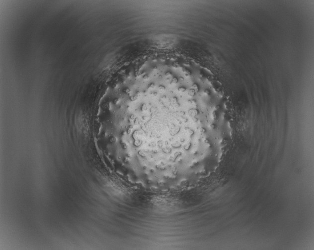 X0000051920568200507011603