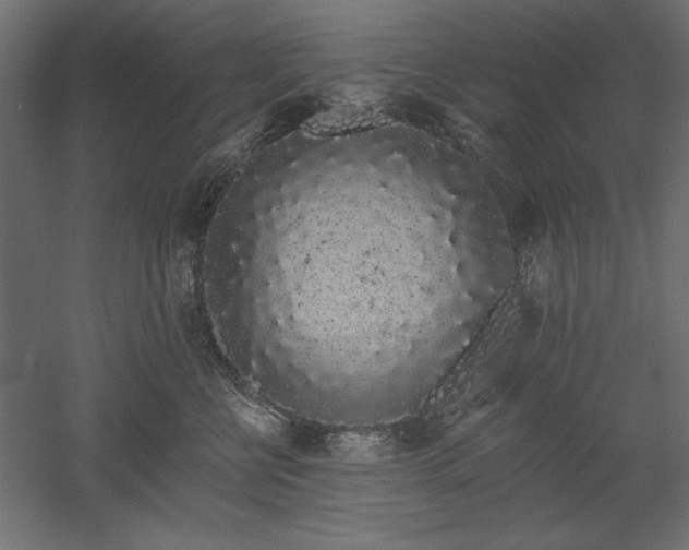 X0000051920570200507011603