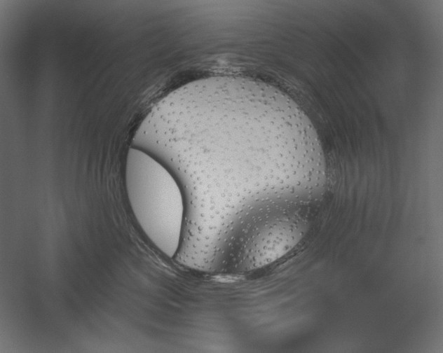 X0000051920573200507011603