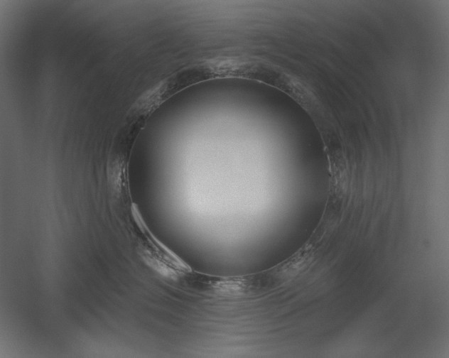 X0000051920574200507011603