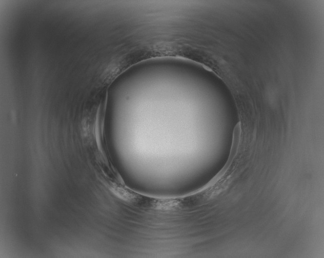 X0000051920576200507011603