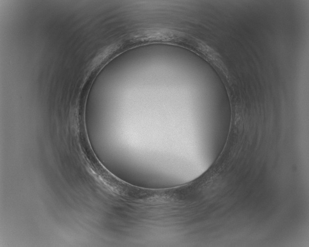 X0000051920578200507011602