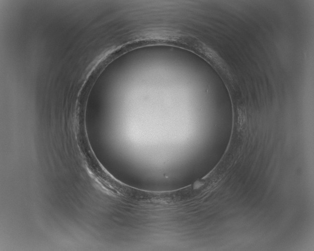 X0000051920580200507011602